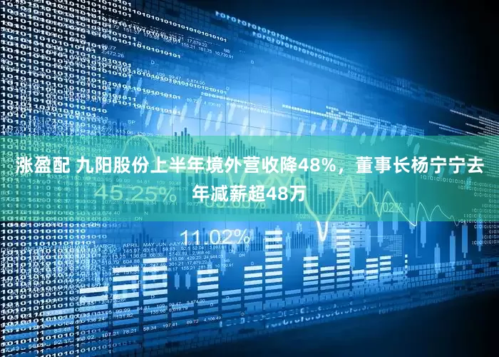 涨盈配 九阳股份上半年境外营收降48%，董事长杨宁宁去年减薪超48万