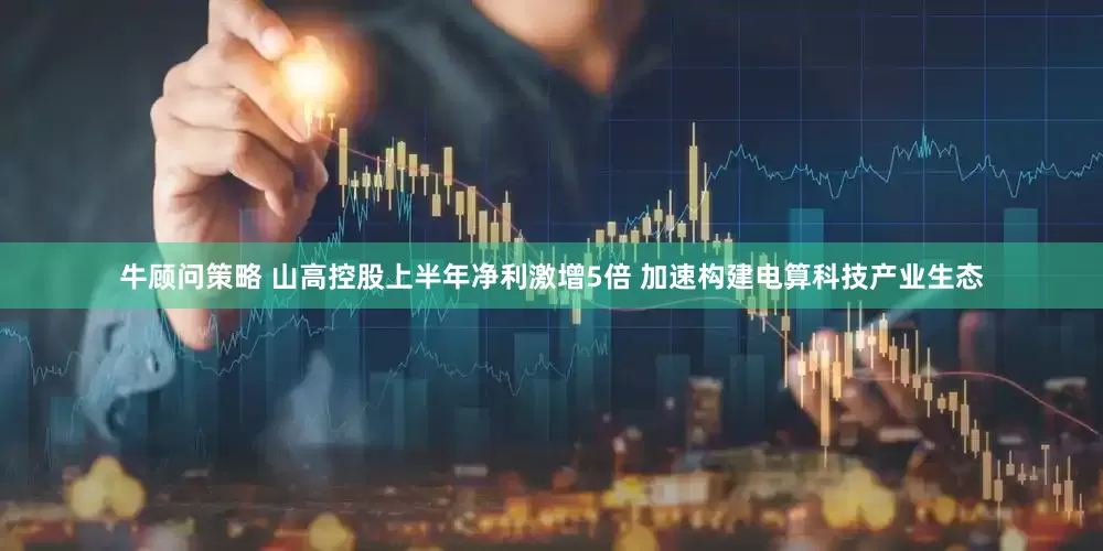 牛顾问策略 山高控股上半年净利激增5倍 加速构建电算科技产业生态