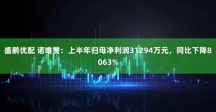 盛鹏优配 诺唯赞：上半年归母净利润31294万元，同比下降8063%