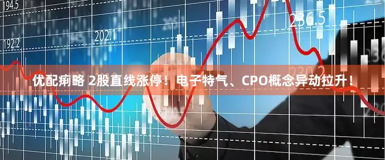 优配痢略 2股直线涨停！电子特气、CPO概念异动拉升！